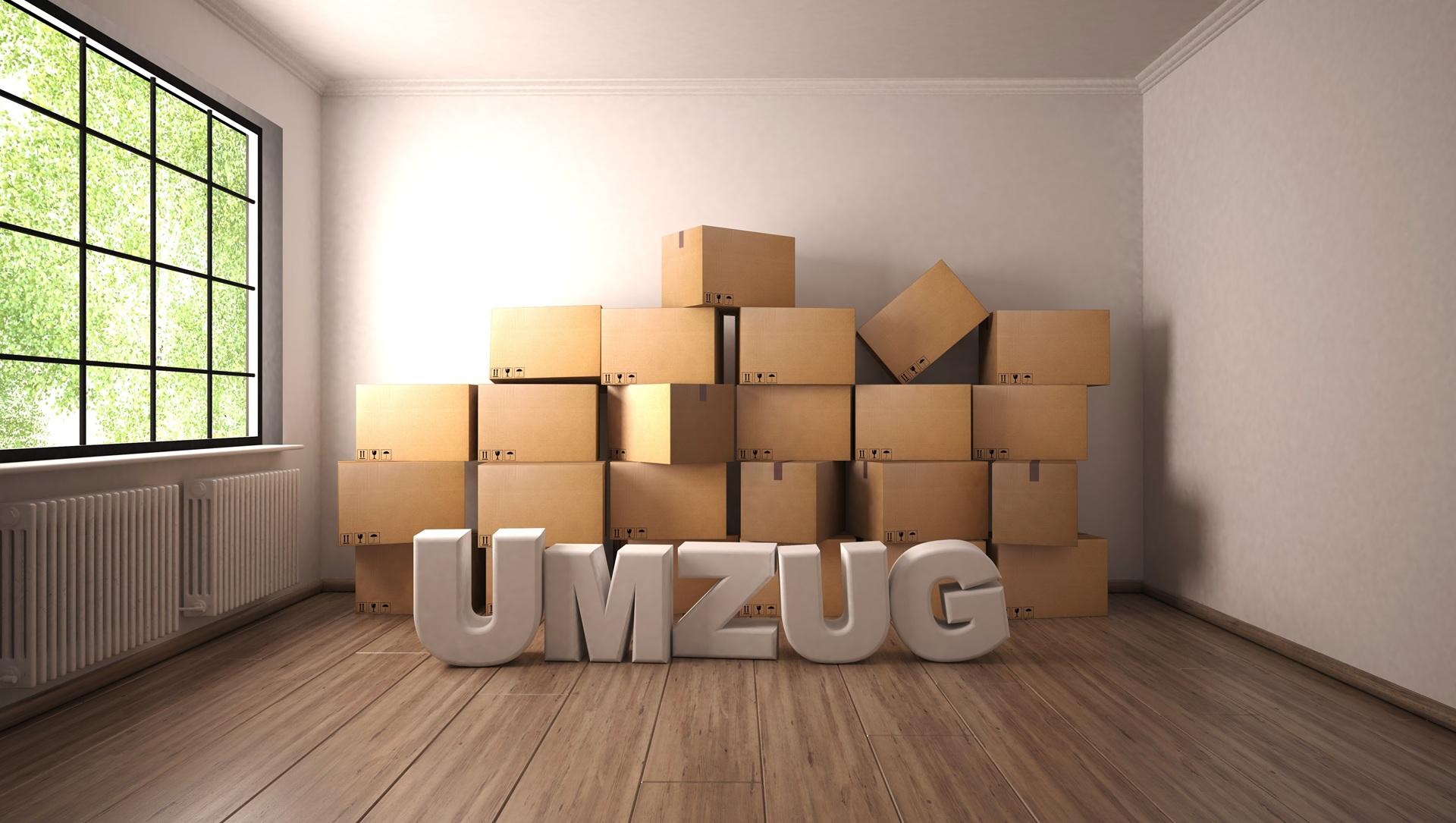 Umzugsunternehmen in Arnsberg mit Kartonstapel